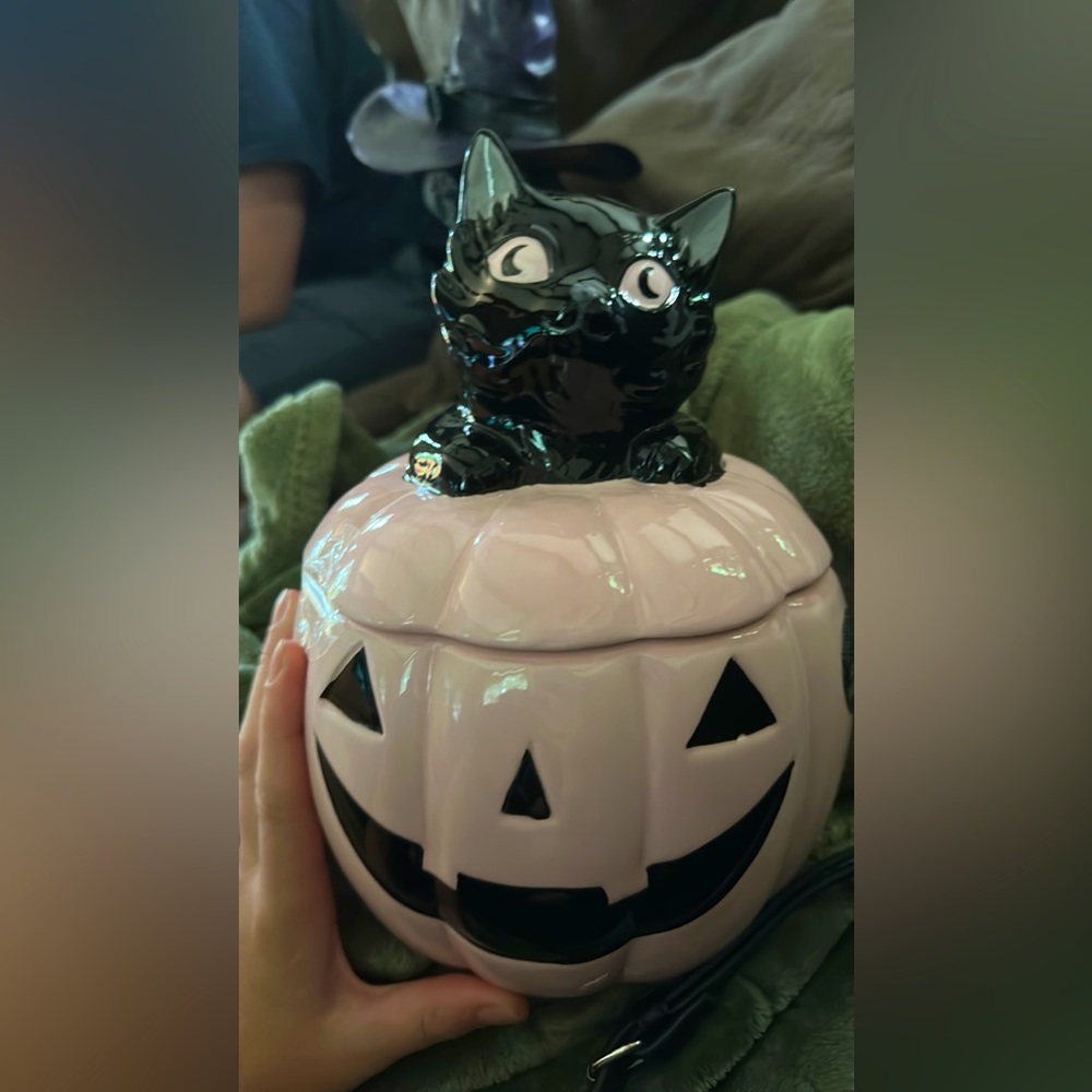 Viral pink pumpkin cat cookie jar